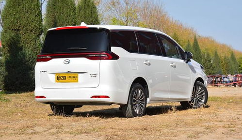 传祺商务汽车7座gm6价格（传祺商务汽车7座gm6价格多少）